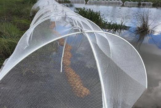 Width 1-20m Mesh Harvest Bags , Bird Control Netting Warp Knitted Type