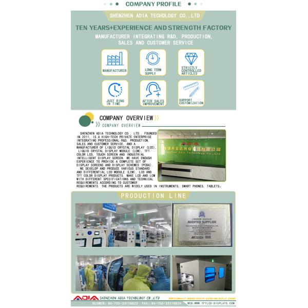 10.1 Inch Color Active Matrix TFT LCD Module For MP4/Video/Image/Digital Photo Frame