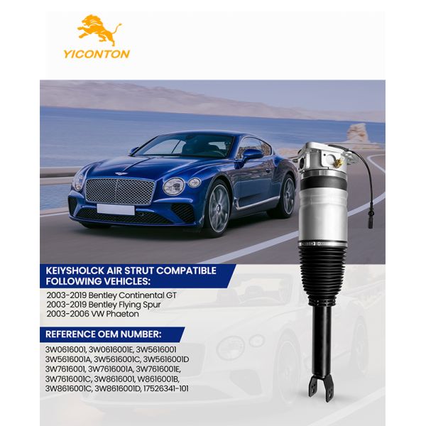 3W0616001 Air Suspension Strut For Bentley Continental GT/Flyer / Volkswagen Phaeton