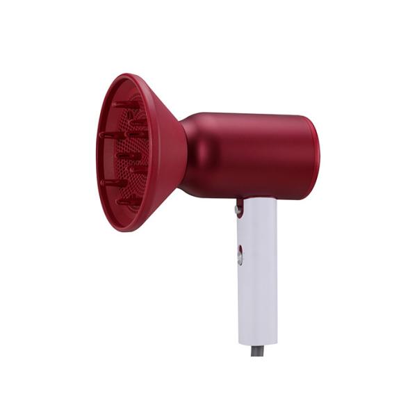 sèche-cheveux 1500W ionique professionnel 50/60 hertz de portatif pour des soins