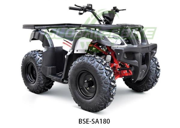8.3KW Power ATV Quad Bike 4 Wheeler With 180cc Engine 270mm Shock Rear