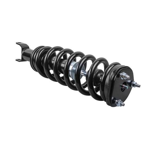 Передняя полная весенняя подвеска ударная сборка для 2009-2020 Ram 1500 4WD 172292