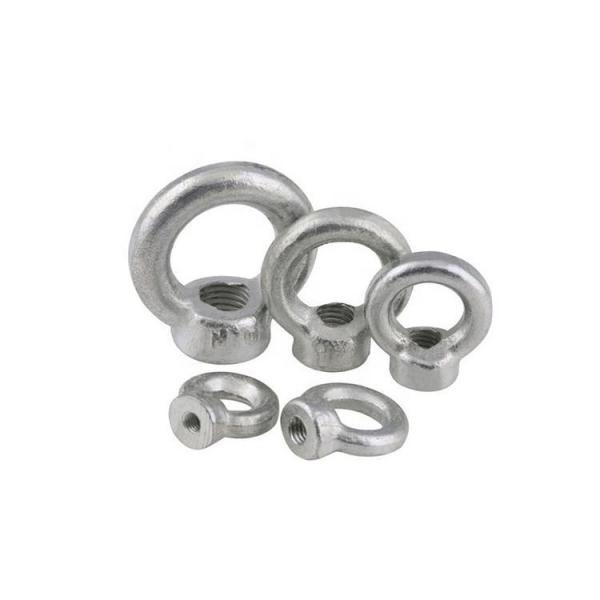 Гайка M6 подъемной скобы DIN582 - метрические болты нержавеющей стали крепежных деталей M36
