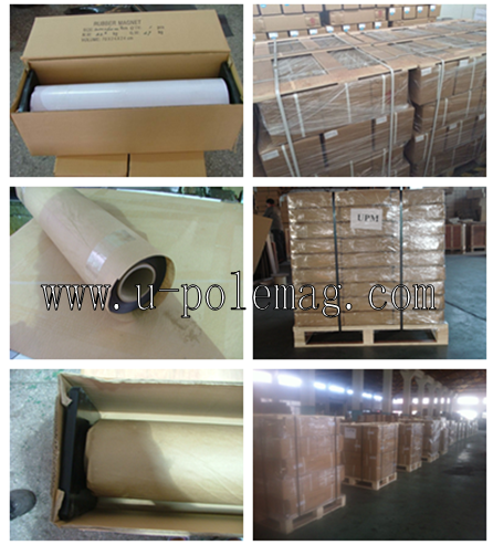 Tolerance ±1mm Permanent N35-N52 Neodymium Disc Adhesive Magnet with 3M Self Adhesive