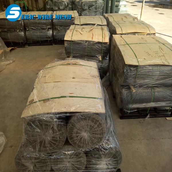 China supplier with free sample chicken mesh galvanized hexagonal wire mesh