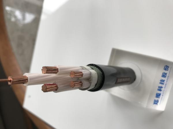 (² de 2*1.5~2*240mm) o cabo distribuidor de corrente Unarmoured de baixa tensão de 0.6/1KV 2C com PVC isolou o condutor do CU (CU/PVC/NYY/N2XY)