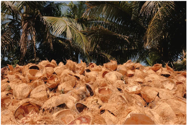 Activated Charcoal Pellets Bulk 4mm For Air Purification Black CAS No. 64365-11-3