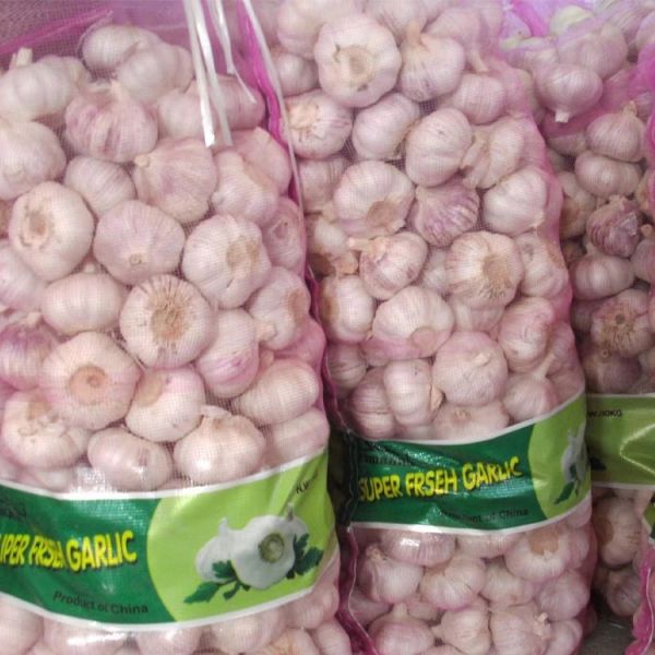 Chinese Organic Fresh Garlic Export Mesh Bag Packing Newest Crop Pure White Garlic High-quality