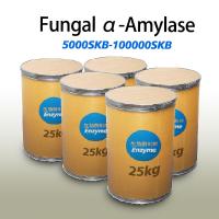 Industrie HALAL Enzyme de l'amylase Pain Fabrication de poudre d'amylase pour le pain