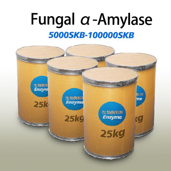 Industrie HALAL Enzyme de l'amylase Pain Fabrication de poudre d'amylase pour le pain