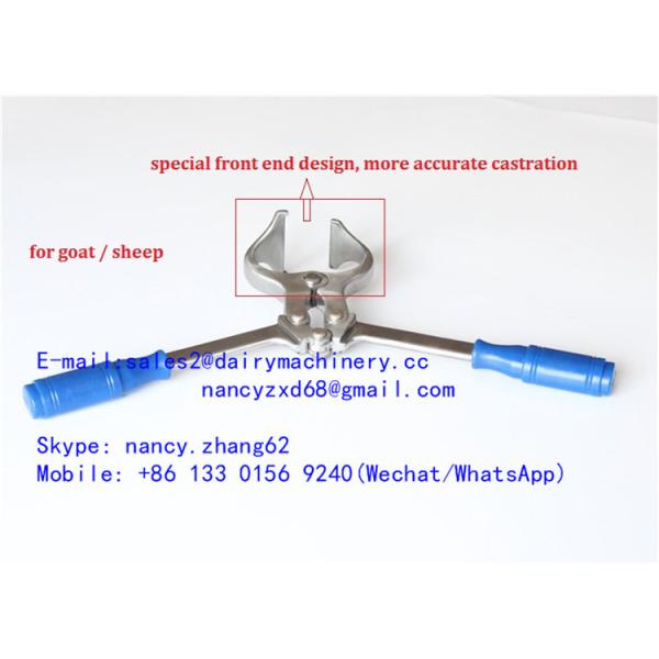 Castrator veterinário dos carneiros do instrumento cirúrgico, fórceps de castração de aço inoxidável para a cabra, ferramenta da castração