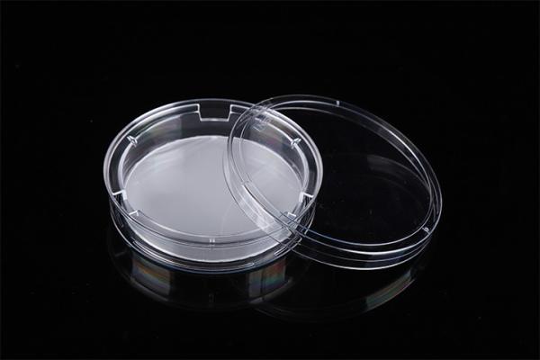 Cell Insert Multiple Well Plate 24mm PCR Laboratory