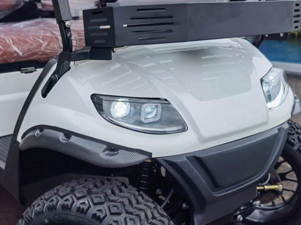 Parte alta customizável da cor do carrinho de golfe 30mph elétrico da velocidade máxima atualizável