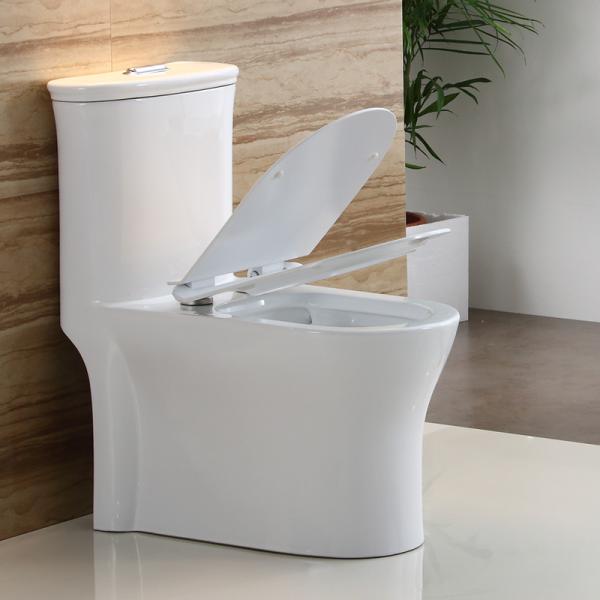Dual-Flush Water Saving One Piece Toilet White Ceramic
