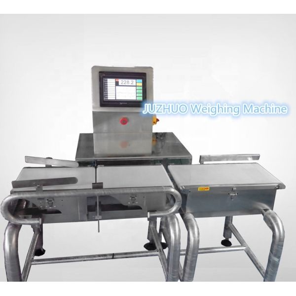 Baseline Online Electronic Weighing Machine Check Weigher System Equipment JZ-W Series
