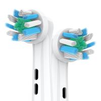 Des brosses à dents professionnelles universelles pour la série T OEM ODM
