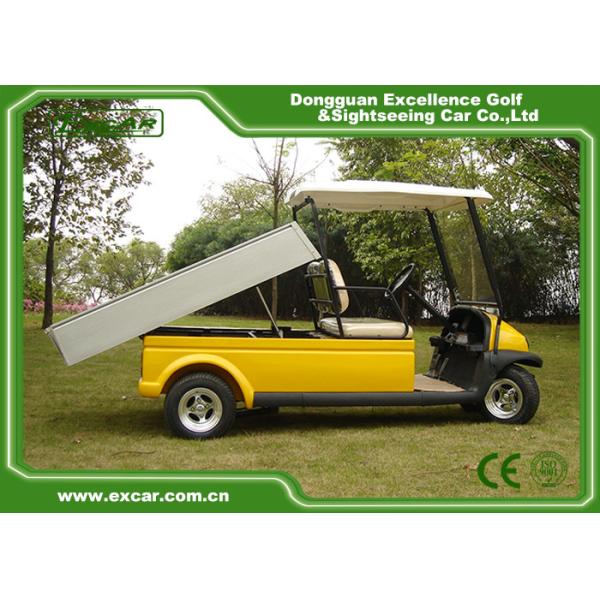 Новая энергия 2 Seater 4 автомобиля гольфа колеса шасси электрических стальных с грузом