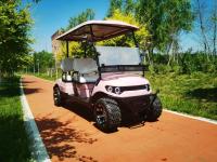 Le chariot de golf électrique de luxe de 4 places personnalisé et fournit OEM et ODM convient à divers scénarios tels que les lieux pittoresques et l'enregistrement des bagages de l'hôtel.