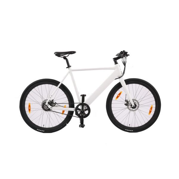 Multicolour Electric Bike LCD Screen Display F R Disc Brake E-Bike Trafficway Road Bicycle