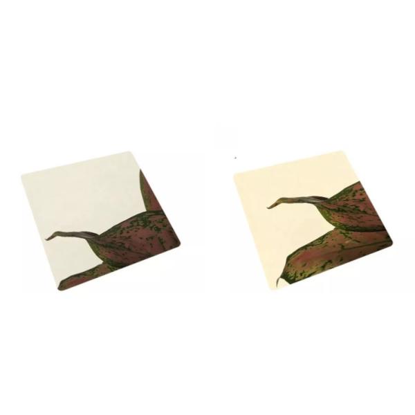 Kitchenware Inoxidable SS Coloured Sheet , Anti Oxidation Gold Stainless Steel Plate