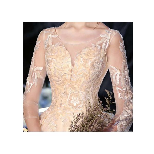 Comfortable Elegant Lady Wedding Dress / Long Tail Lace Bridal Gown