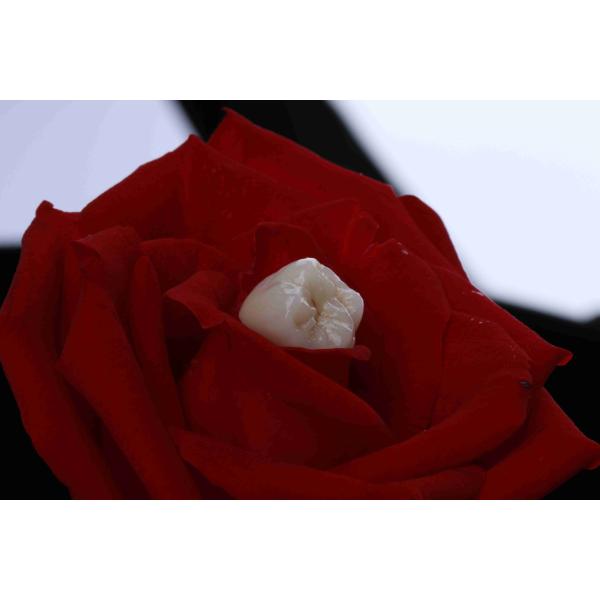 Естественный блок Zirconia градиента 3D разнослоистый зубоврачебный
