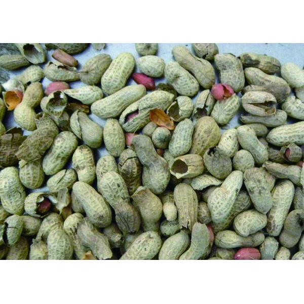 Recyclable 7 Channels Peanut Color Sorter , Cashew Nut Sorting Machine