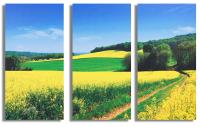 Home Art Printed Acoustic Panel Soundproof Board Wall Decoration Painting