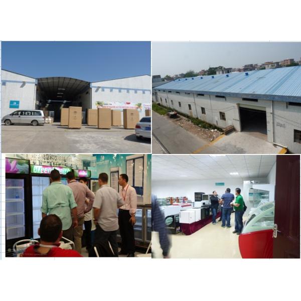 Degré droit du surgélateur -20 de coffre de la grande capacité R134a pour le magasin