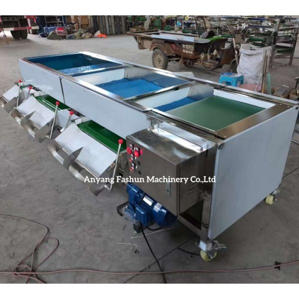 Olive sorting machine, olive grading machine, olive classification machine