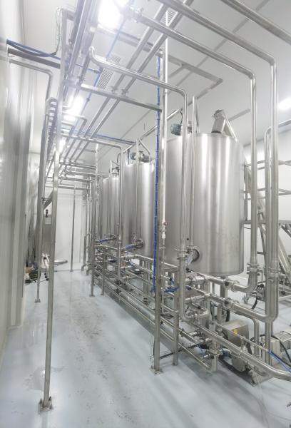 300T/D Stainless Steel Mango Juice Processing Line High Efficiency