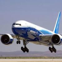 Frete internacional de Fedex DHL que envia serviços da importação da exportação de China a Nova Zelândia