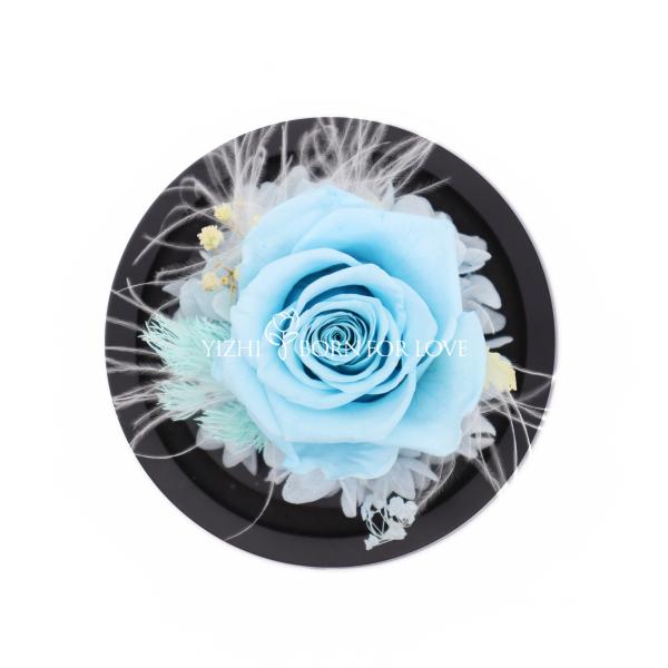 Beautiful Colorful Gifts Preserved Flower Glass Dome Indor Decoration