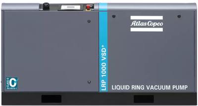 Intelligent Liquid Ring Pump With Variable Frequency Technology VSD LRP 700-1000 VSD+