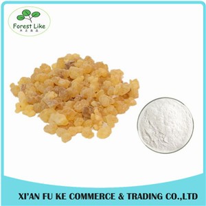 Mastic Gum Powder Olibanum /Frankincense Extract Boswellic Acid 65%