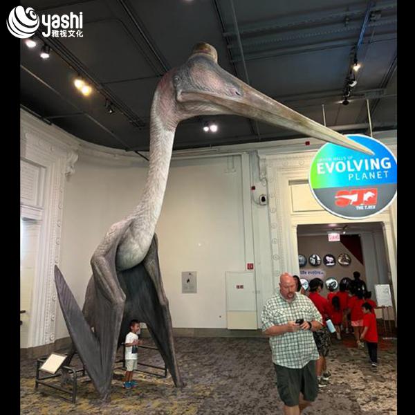 Silicone Lifelike Pterodactyl Dinosaur Model Movable Electrically Powered