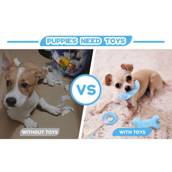 Puppy Toys For Teething Small Dogs Cute Blue Pet Dog Chew Toys For Puppies Soft Rubber Funny Bone Ball Donut Indoor