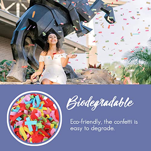 Colorful Biodegradable Tissue Wedding Confetti Wands for Party and Festival Shows