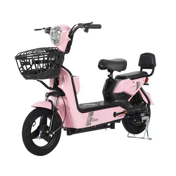 Rear Wheel Disc Brake Electric Bike 1000w for 48V12A/20A Battery and Smooth Performance