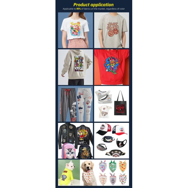 Ingani All in One 30cm I1600 Small High Resolution DTF T-shirt Textile Printer Printing Machine With Shaker Heater