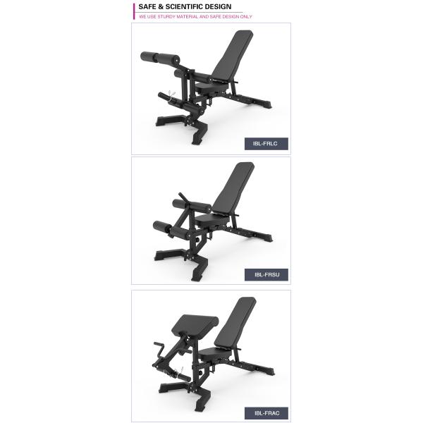 Adjustable Sit Up Bench for Weight Lifting Modern Style Foldable Dumbbell Weight Bench