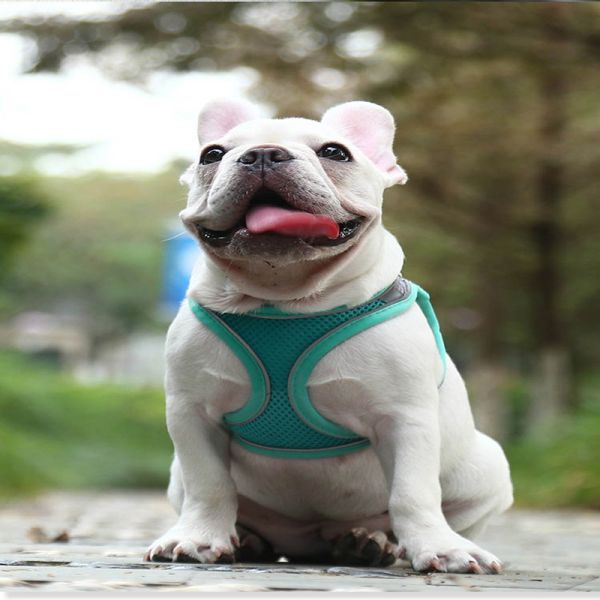 Adjustable Soft Padded Dog Harness Reflective Safety Escape Proof Durable Pet Harness Bulk Supply