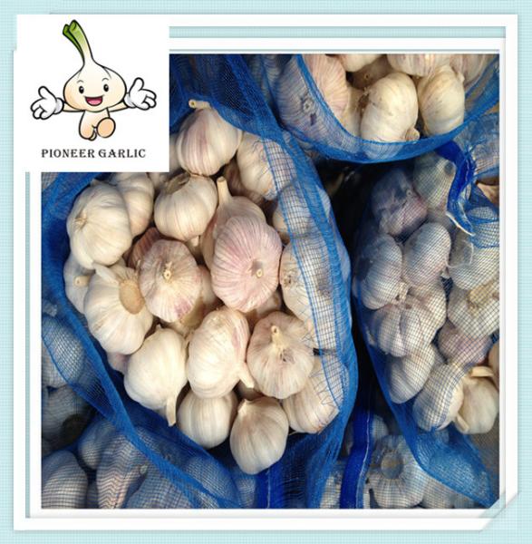 2016 new crop peeled garlic exporters from china China Fresh Garlic / Red Garlic