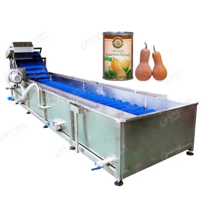 Automatic Bubble Fruit And Vegetable Apricot Washing Cleaning Equipment Line 800kg