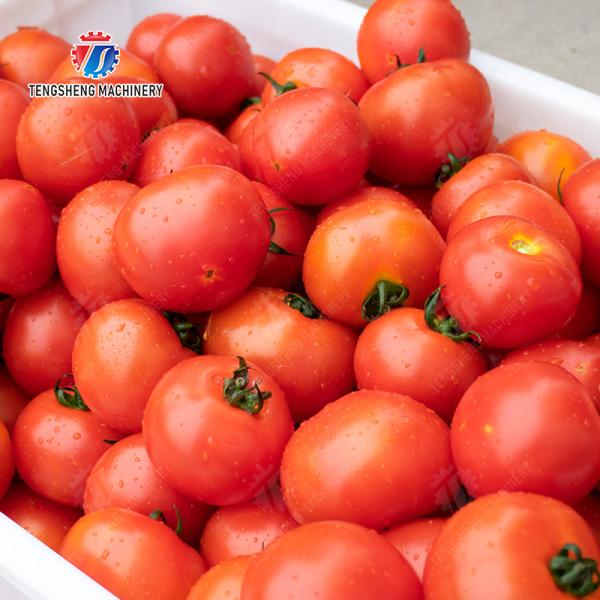 Potatoes and round tuber crops Carrots and longitudinal root vegetables Onions Ginger Carrot Taro Sweet potato Yam Potato Saiko persimmon Parallel Brush Machine Wash Washer Washing Cleaning