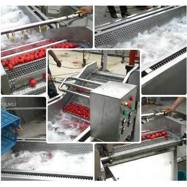 Rooted Plant Fruit And Vegetable Processing Machinery Washing Equipment  Large Capacity