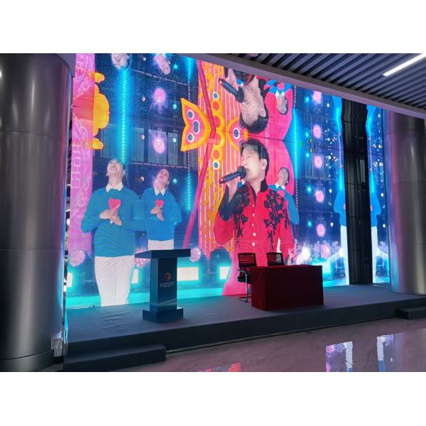 New Arrival Customized Indoor Transparent LED Video Display Grille Display Screen for Advertising