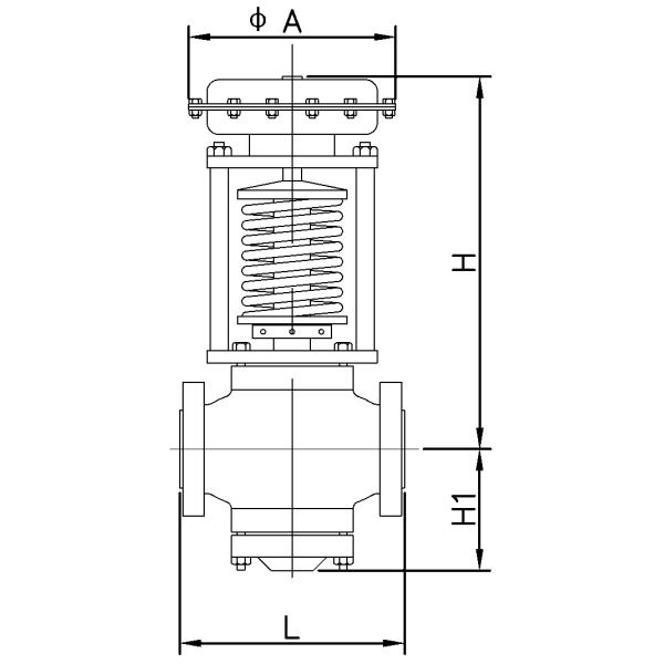 Self Operated Pressure Regulating Valve Check Valves Direct Acting