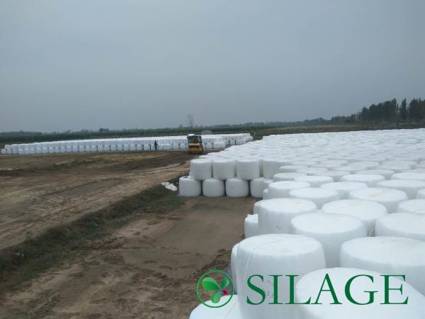 White Color Silage Film 750mm for Large Round Wrapper