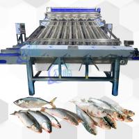 Machine de tri en plastique à convoyeur Saury Machine de tri en croquer jaune
